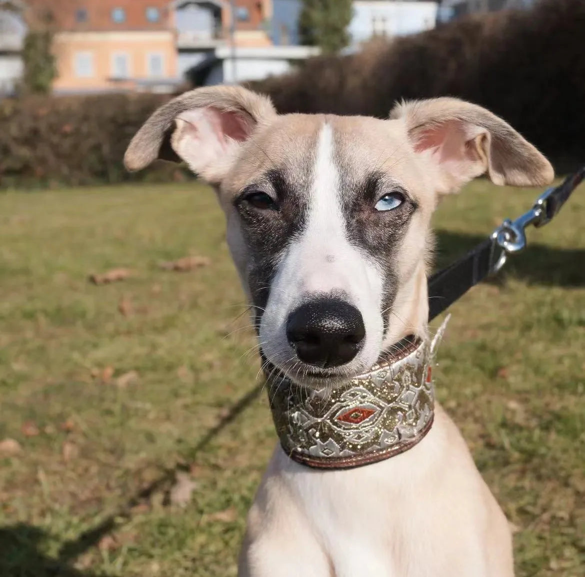 GreyGlide Martingale