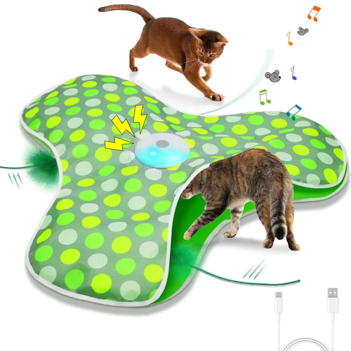 Whisker Whirl Seek & Play