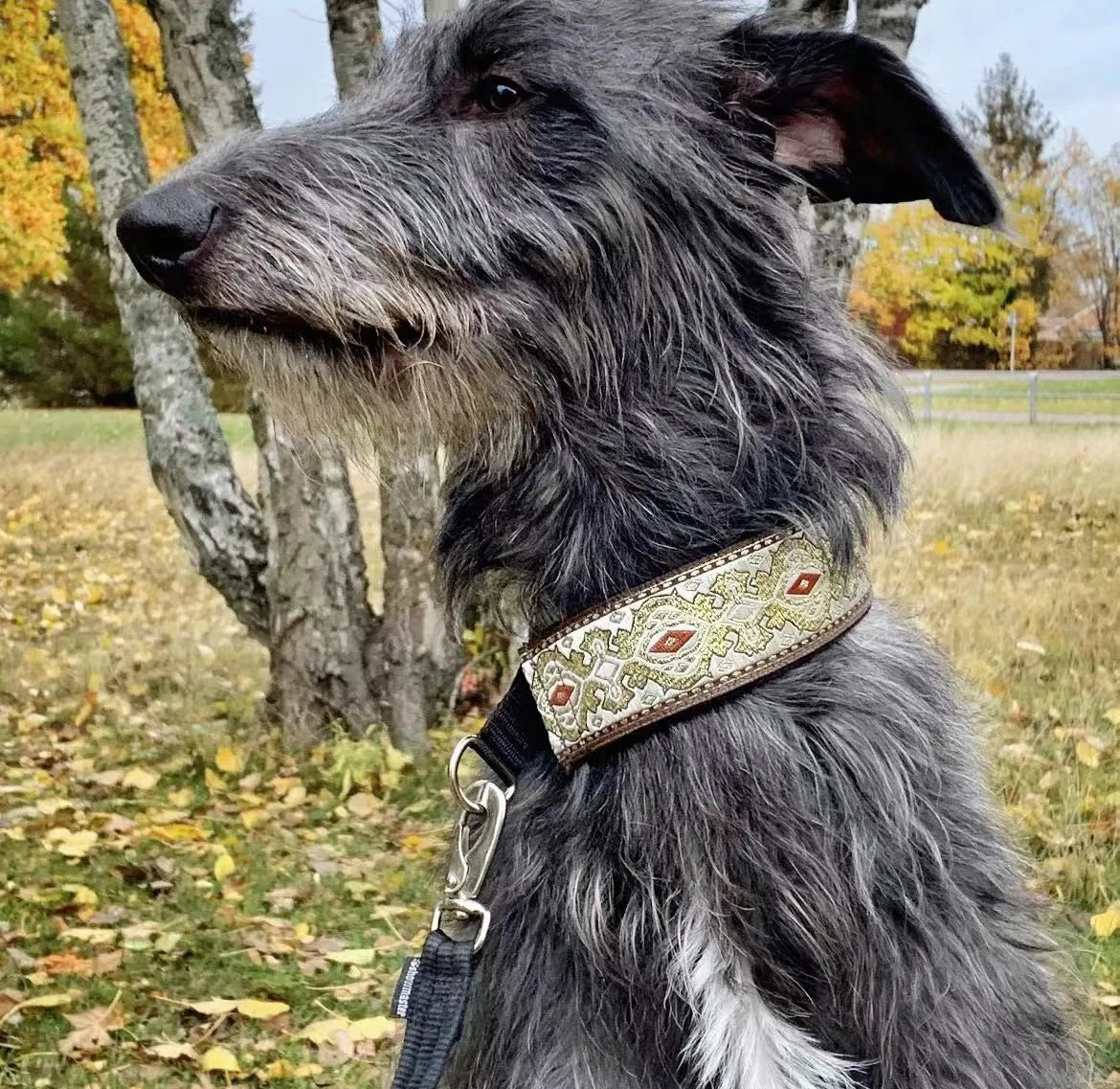 GreyGlide Martingale
