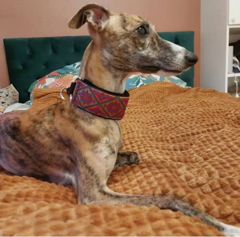 GreyGlide Martingale