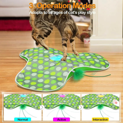 Whisker Whirl Seek & Play