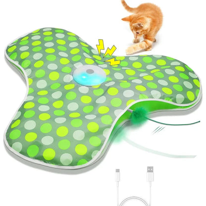 Whisker Whirl Seek & Play
