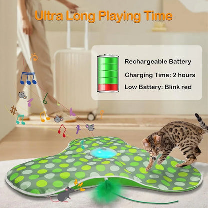 Whisker Whirl Seek & Play