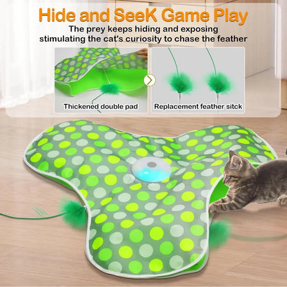 Whisker Whirl Seek & Play
