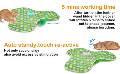 Whisker Whirl Seek & Play
