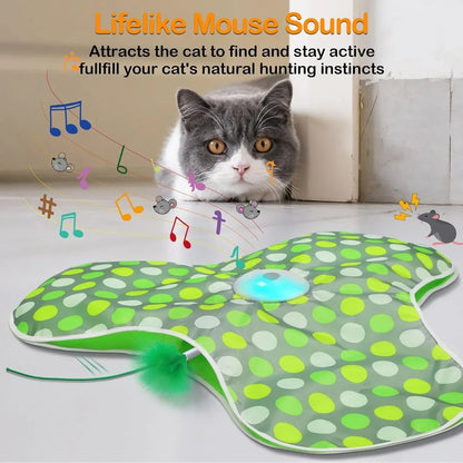Whisker Whirl Seek & Play