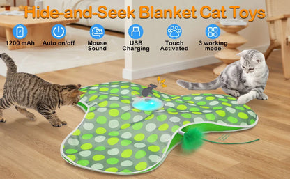 Whisker Whirl Seek & Play