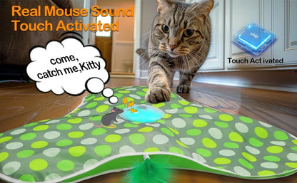 Whisker Whirl Seek & Play